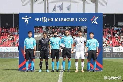 日韩职业联赛比赛视频,激情对决，热血沸腾